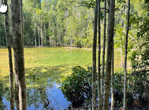 Blue Pool Krabi-空统必去景点