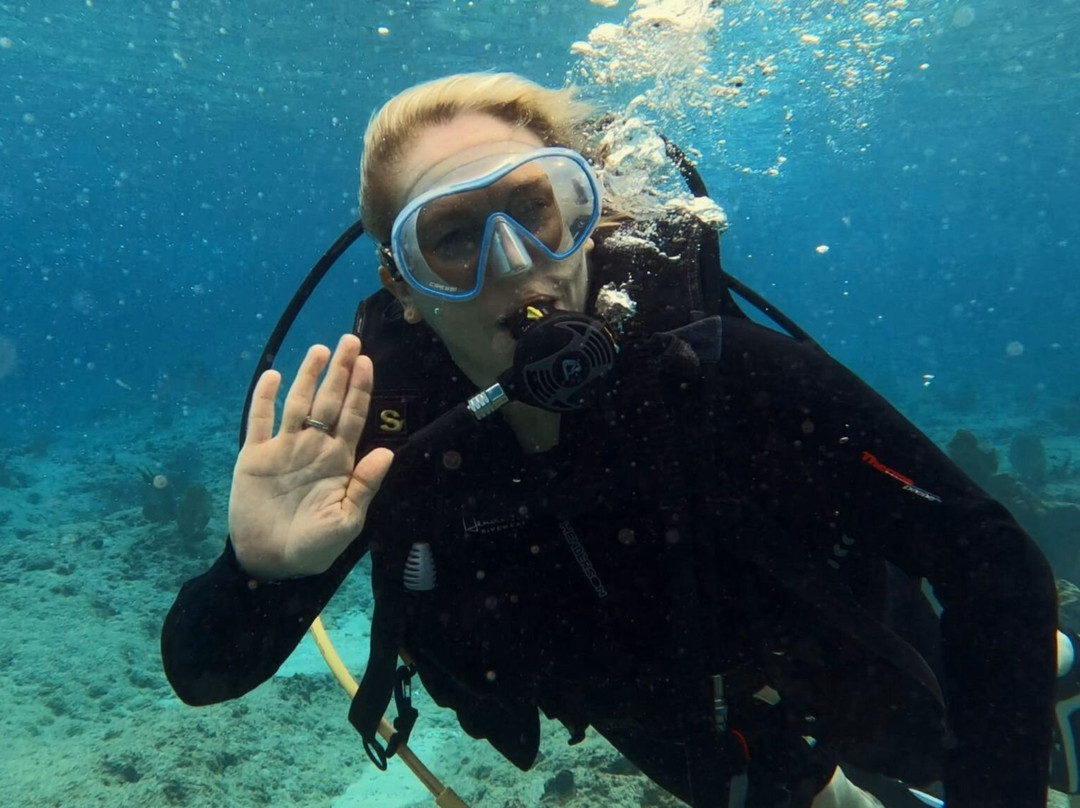 Seahorse Diving School-西湾必去景点