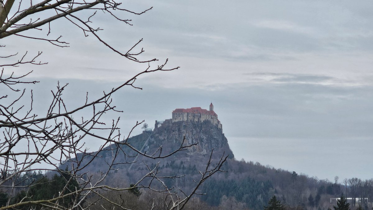 里格斯酒店-官方