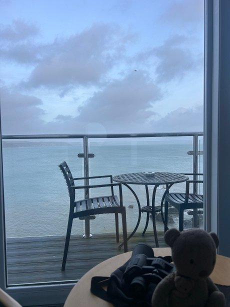 汉纳福尔波因特酒店-官方