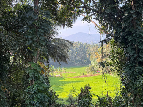 阿迪加斯庄园主图