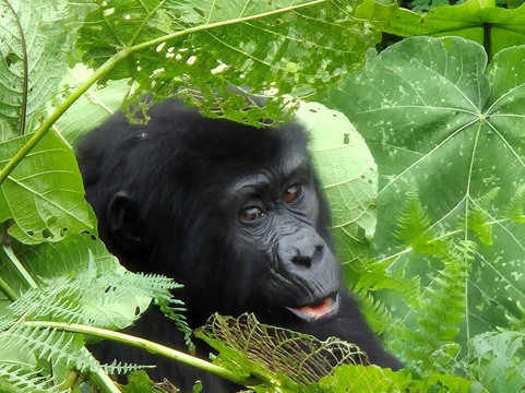 Katona Tours and Travel-吉佳利必去景点