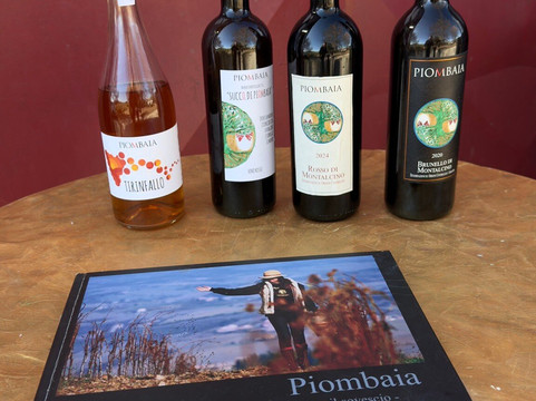 Piombaia wine cellar-蒙塔尔奇诺必去景点