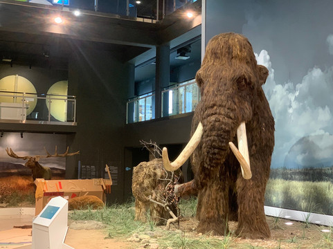 Ice Age Centre-塔尔图必去景点