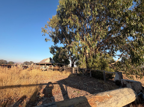 Watson's Mountain Country Trail Rides - Day Tours-曼斯菲尔德必去景点