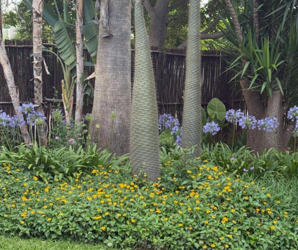 La Bushka Guesthouse