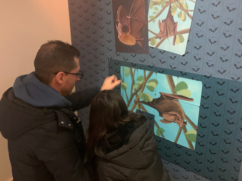 Maison de la Chauve-Souris-Kernascleden必去景点