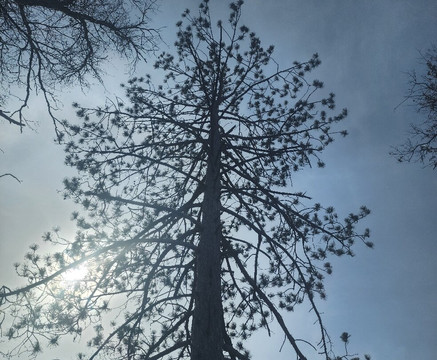 St. Croix State Park-明尼苏达必去景点