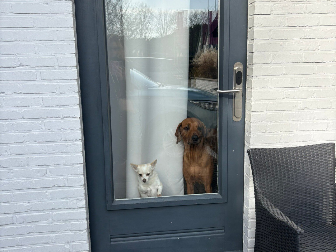 克罗肯豪夫卡门酒店主图