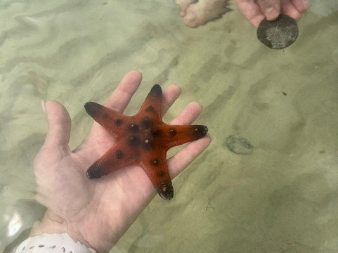 海星沙灘-Ganh Dau必去景点