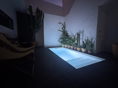 Casa las Flores主图