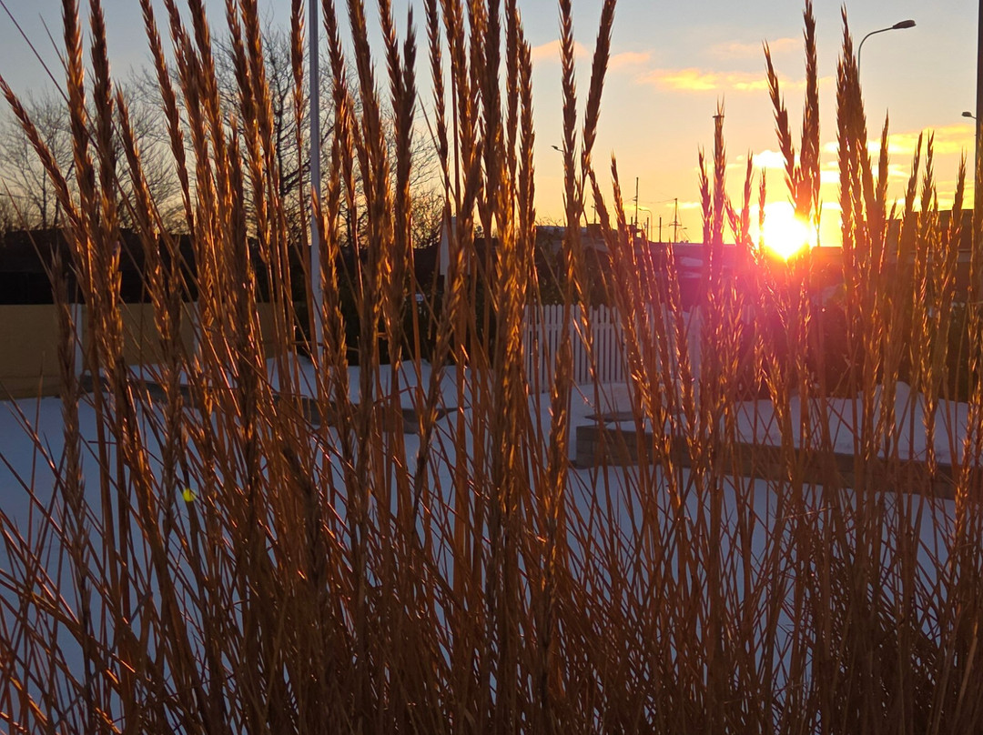 斯卡恩斯特兰德里酒店主图