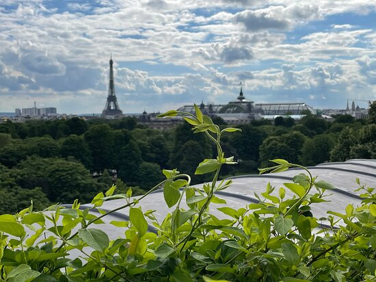 巴黎瑰丽酒店主图