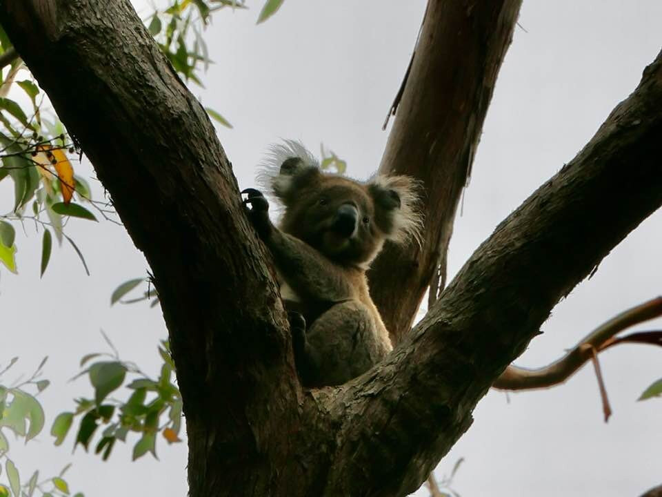 Edelweiss Bike Travel-密敏必去景点