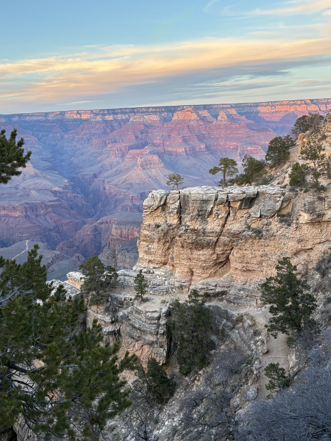 马斯威克南部山林小屋-官方
