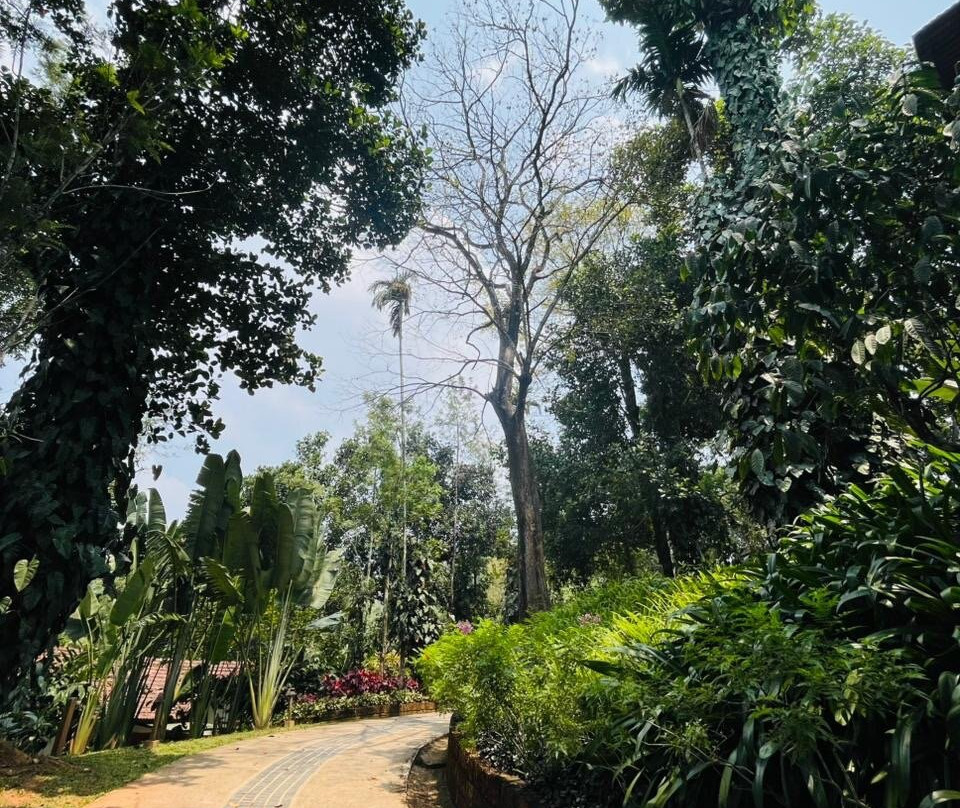 柳枝度假村主图