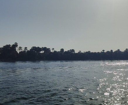 SUNRISE M/S Semiramis I主图