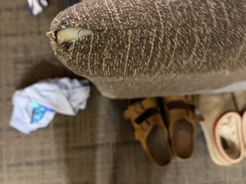 北安阿伯万豪 Residence Inn 酒店主图