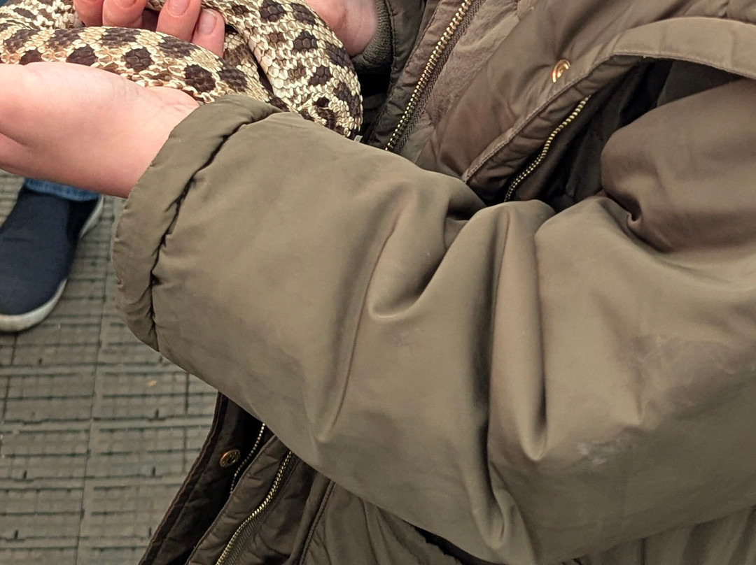 Holmes Chapel Zoo-Holmes Chapel必去景点