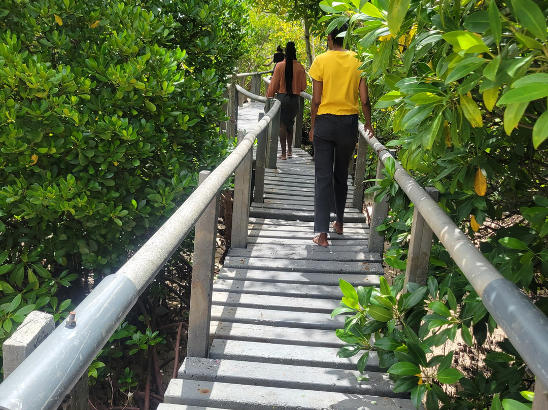 Gazi Mangrove Boardwalk-乌库达必去景点