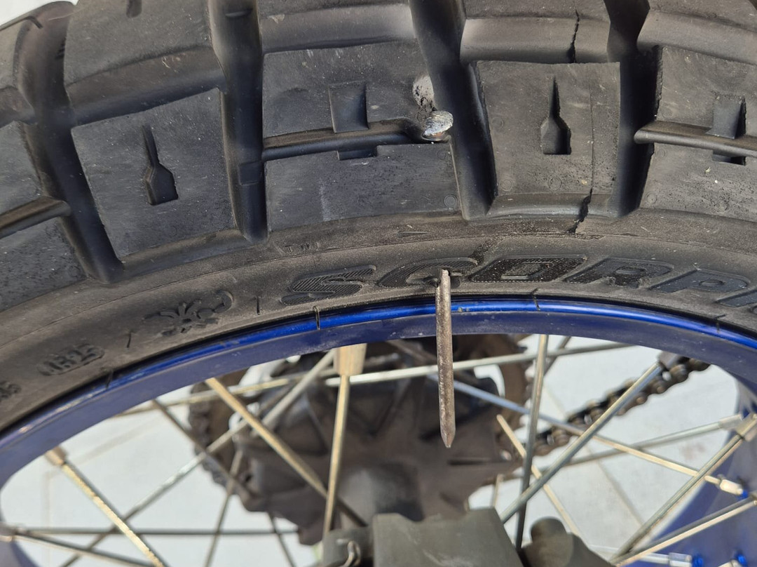 Feel It - Canary Islands Motorcycles-圣克鲁斯-德特内里费必去景点