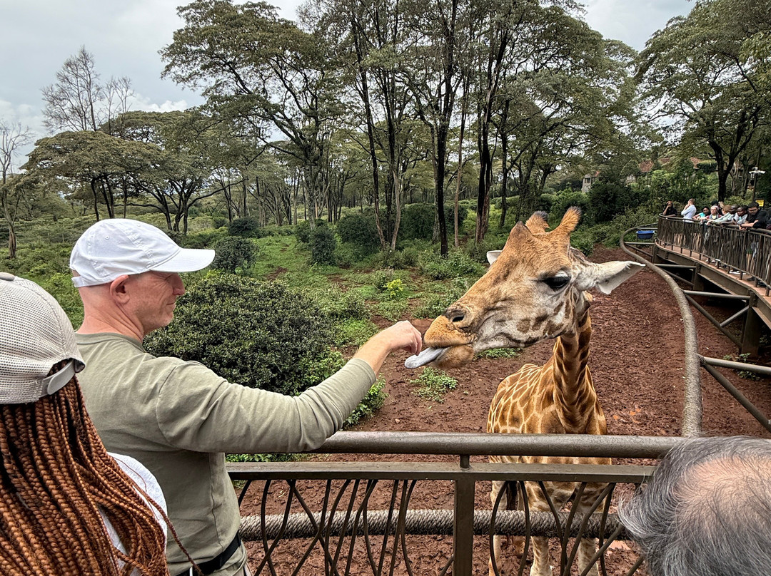 Tembo Wild-内罗毕必去景点