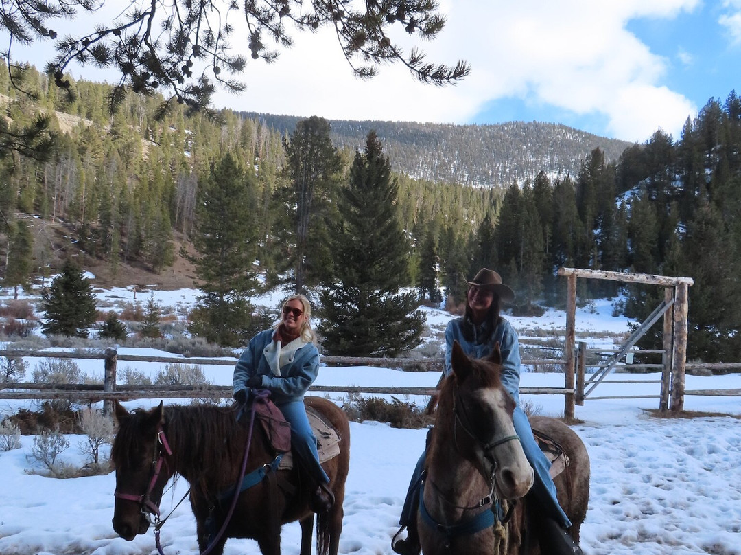 Jake's Horses-大斯凯必去景点