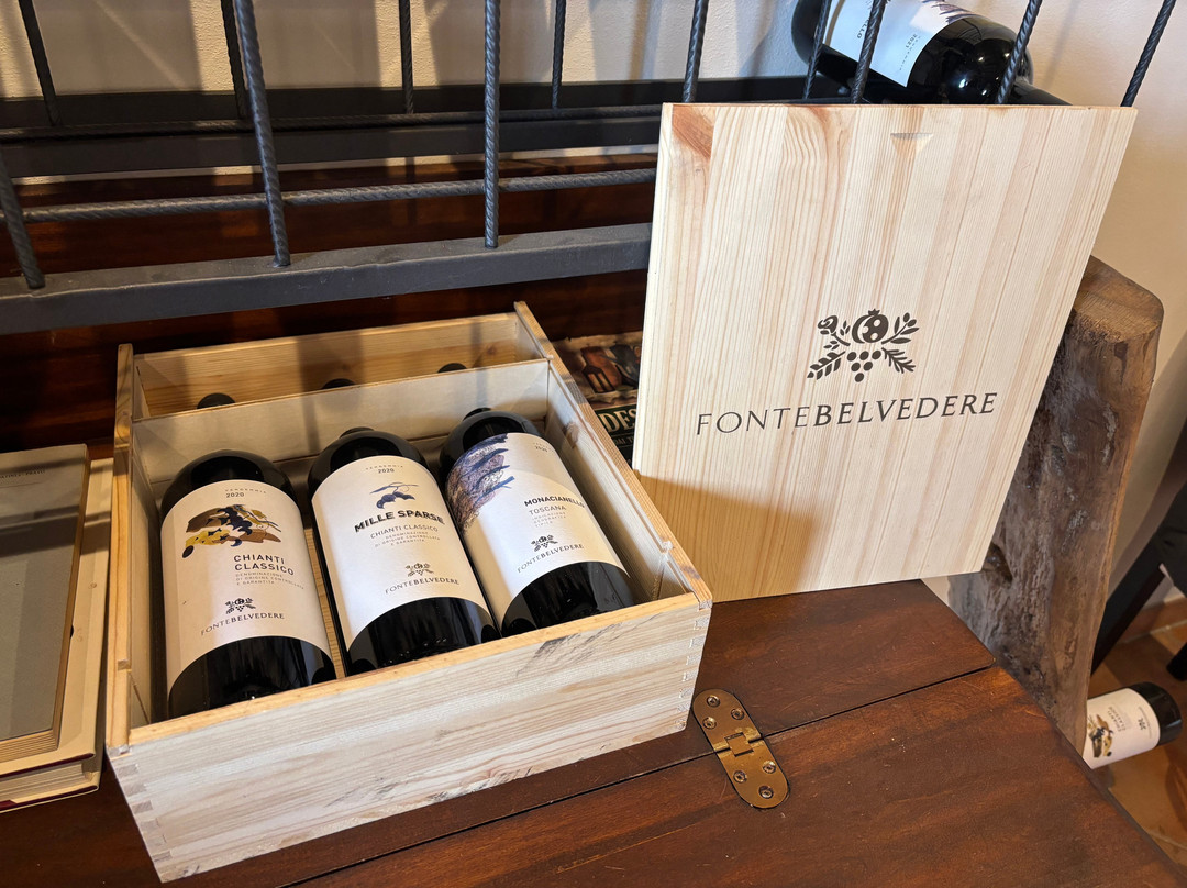 Best of Mas-锡耶纳必去景点