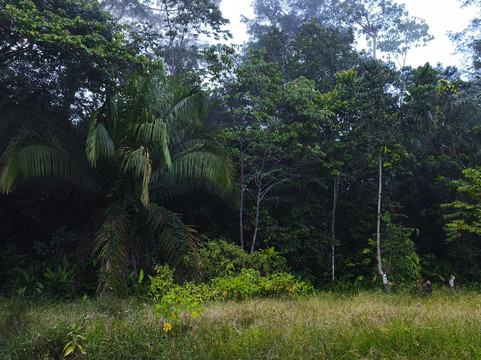 Wonder Amazon-Lagunas必去景点