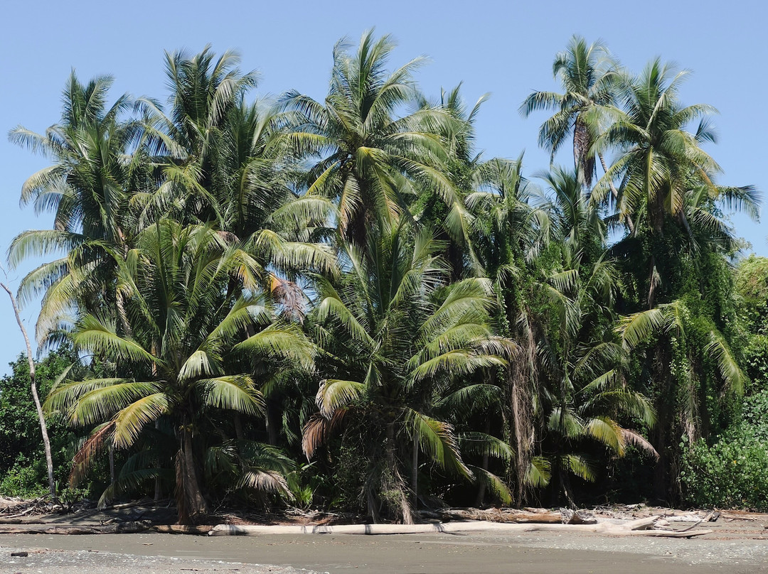 Sukia Travel-德雷克湾必去景点