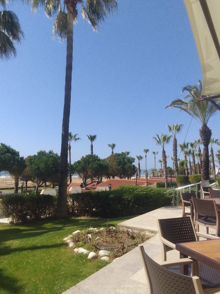 卡梅利亚塞林酒店-全包式-官方