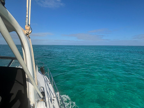 Ningaloo Whaleshark-N-Dive-埃克斯茅斯必去景点