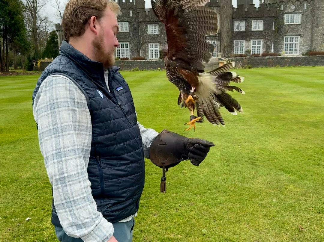 Dublin Falconry-Castleknock必去景点