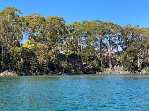 Leven River Cruises-Ulverstone必去景点