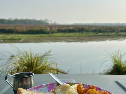 Nepal Dynamic Eco Tours & Services-奇旺国家公国必去景点