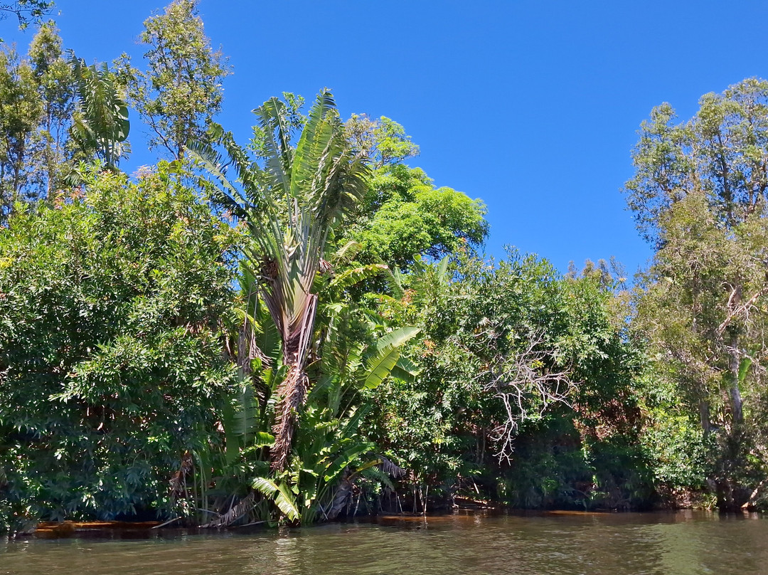 FANILO TOURS-Toamasina (Tamatave)必去景点