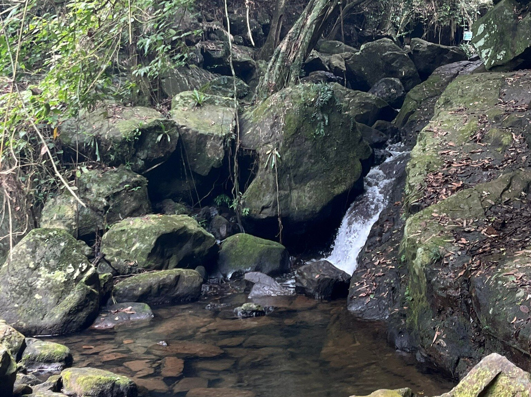Phong Nha Botanic Garden-Son Trach必去景点