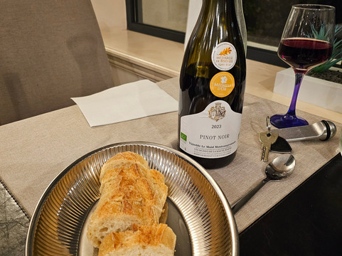 凡内格里酒店主图