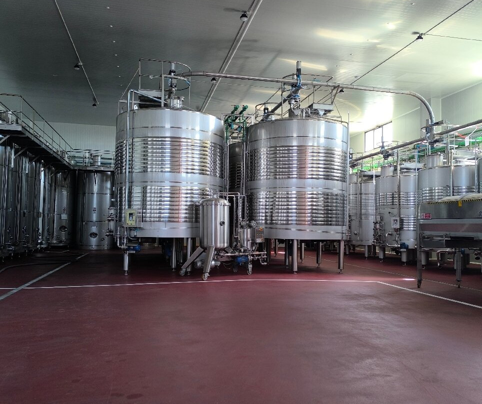 Bodegas Aldonza-Munera必去景点