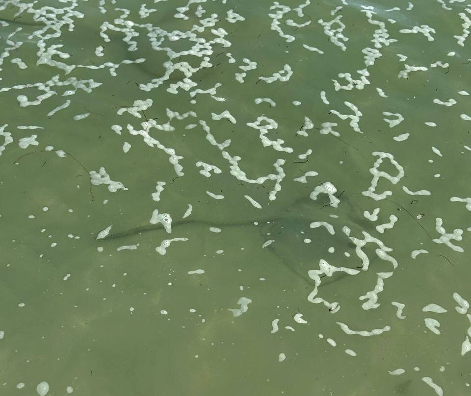 Grand Anse beach-马埃大安塞区必去景点