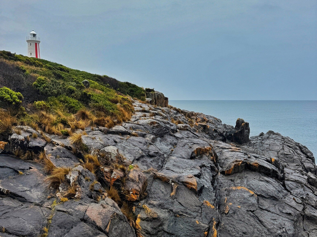 Mersey Bluff Lighthouse-Devonport必去景点