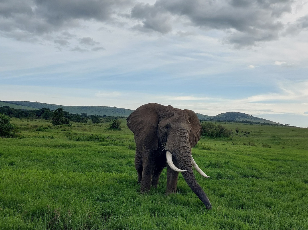 Roadtrip Africa-坎帕拉必去景点