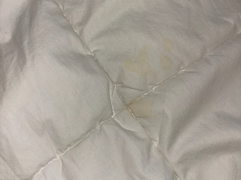 塞杜纳伊斯特韦斯特汽车旅馆主图