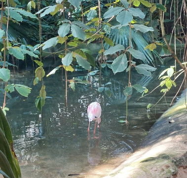 Parco Faunistico Le Cornelle-Valbrembo必去景点