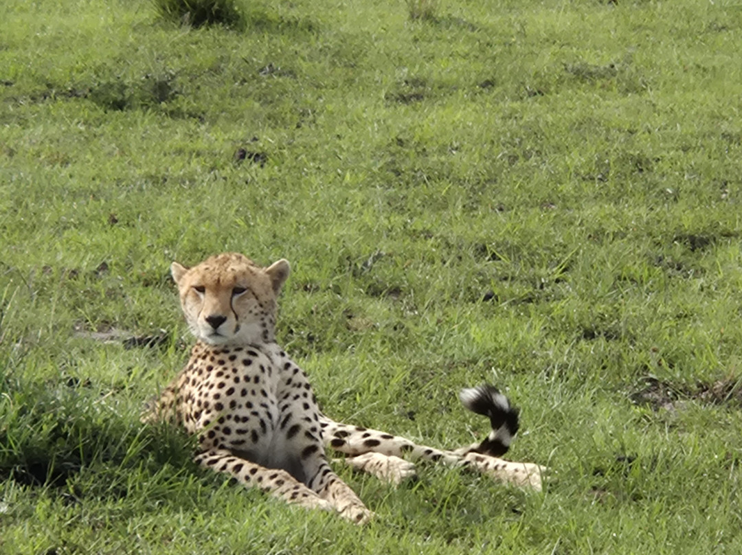 African Kismat Expeditions-Ruiru必去景点