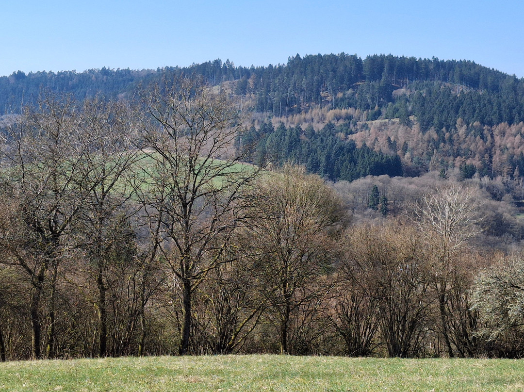 斯塔卢斯海景酒店主图