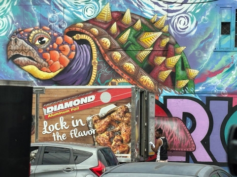 Rainforest Reef Escape-Cabo Matapalo必去景点