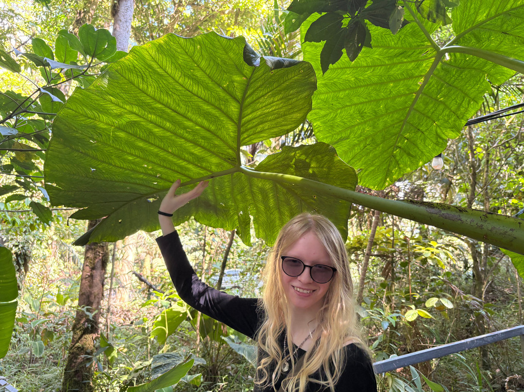 蒙特贝尔德浪漫小屋主图