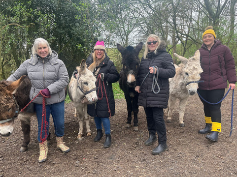 Charnwood Forest Alpacas-Boundary必去景点