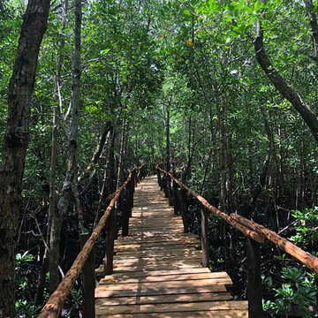 桑给巴尔岛旅游攻略图片